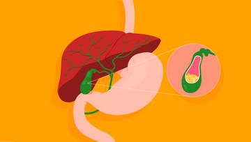 [Галa Гарбузова] Методический материал «Желчный пу_0.jpg